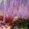 足利市のおすすめ大盛り・デカ盛りグルメまとめ8選